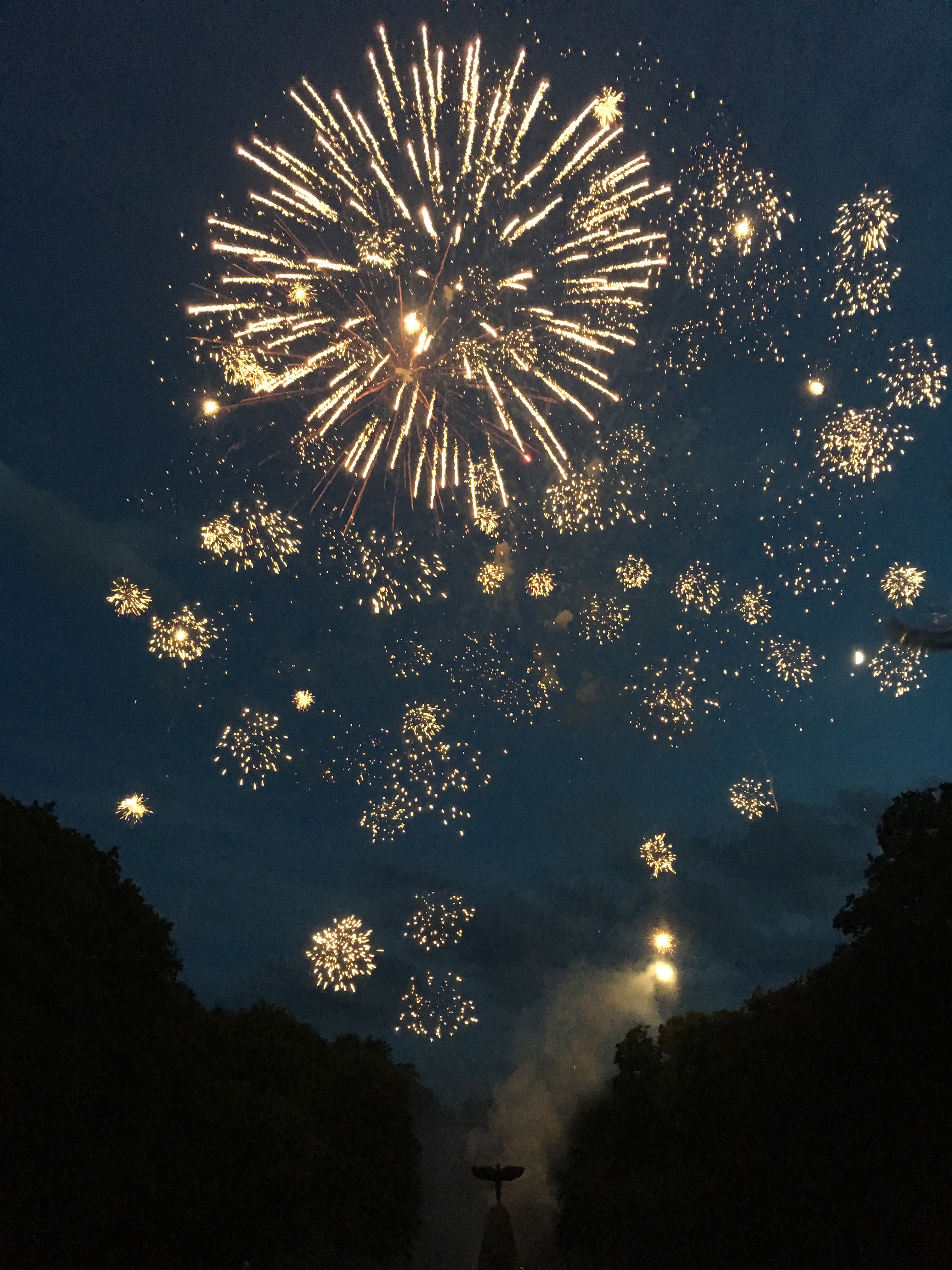 Feuerwerk: Große Blumen