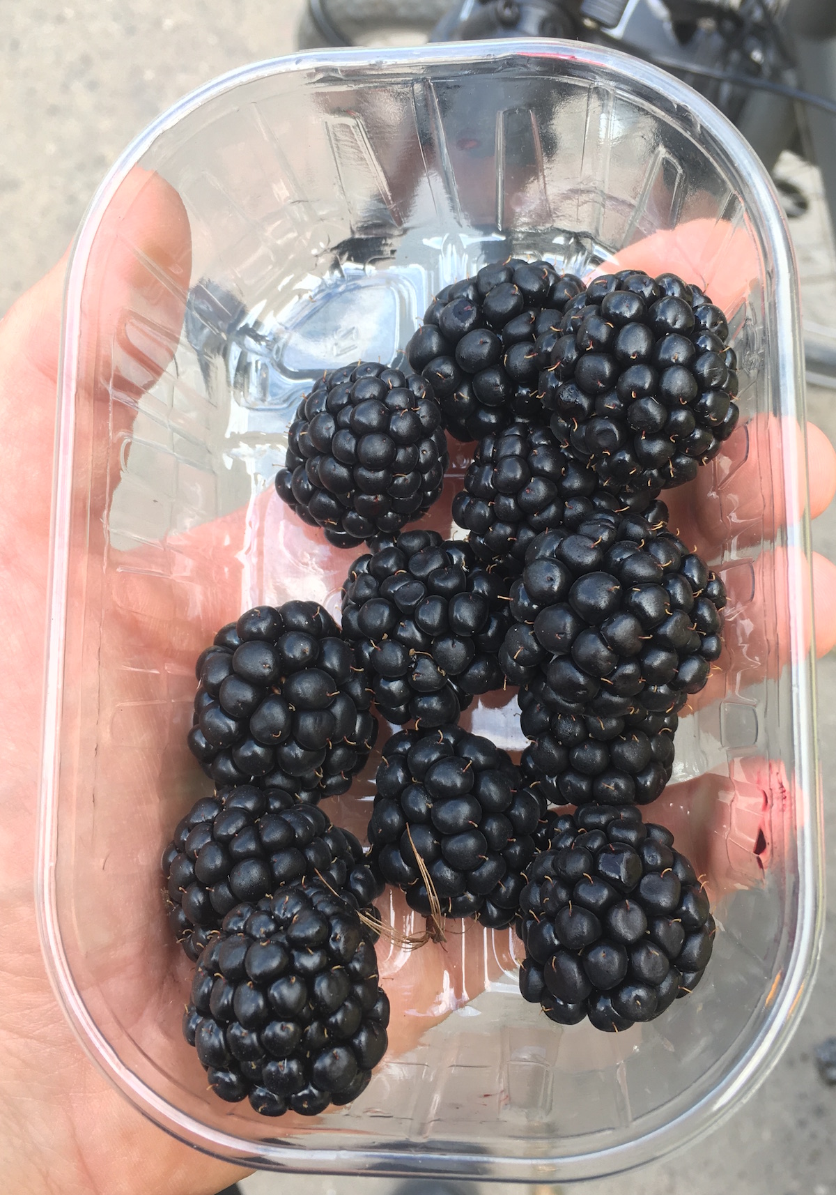 Brombeeren